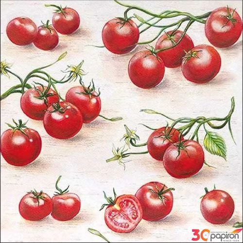 Szalvéta 33x33cm Tomatoes 20db-os
