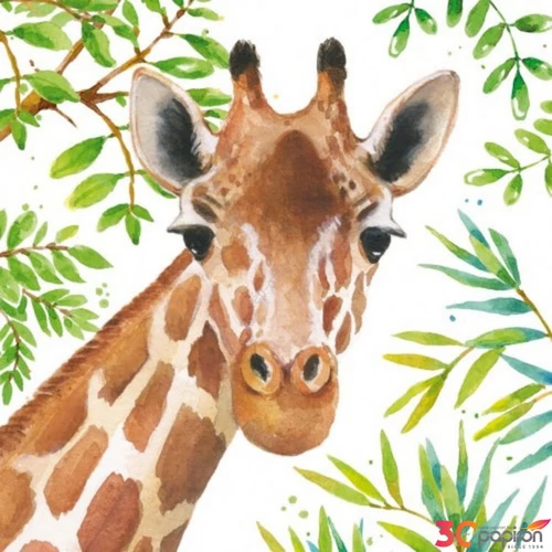 Szalvéta 33x33cm Tropical Giraffe 20db-os