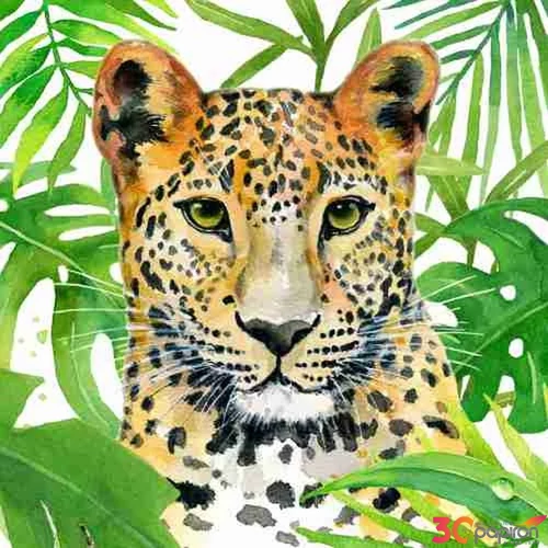 Szalvéta 33x33cm Tropical Leo 20db-os 