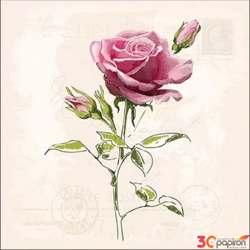Szalvéta 33x33cm Vintage Rose 20db-os