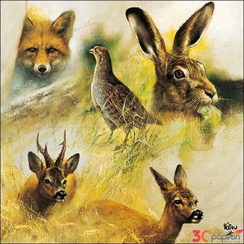 Szalvéta 33x33cm Wild Animals Collage 20db-os 