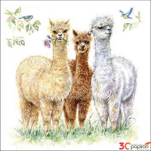 Szalvéta Ambiante Alpaca friends papír papírszalvéta 33x33cm,20db-os