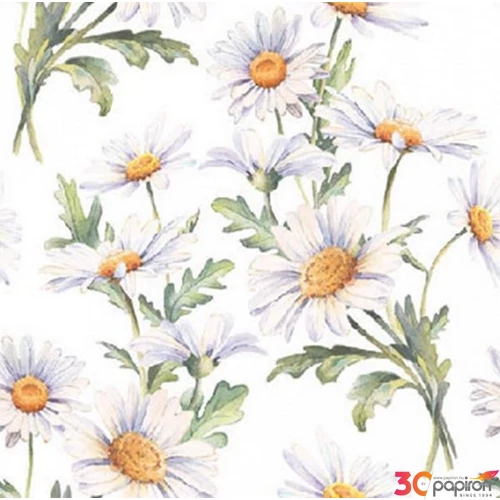 Szalvéta Ambiante Beautiful daisies white papírszalvéta 25x25cm,20db-os