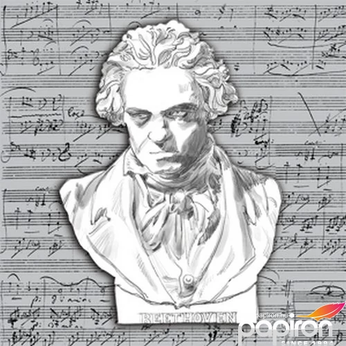 Szalvéta Ambiante Beethoven papírszalvéta 33x33cm,20db-os