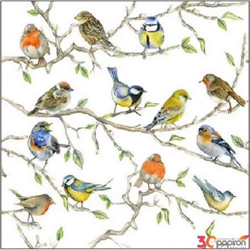 Szalvéta Ambiante Birds Meeting papírszalvéta 25x25cm,15db-os