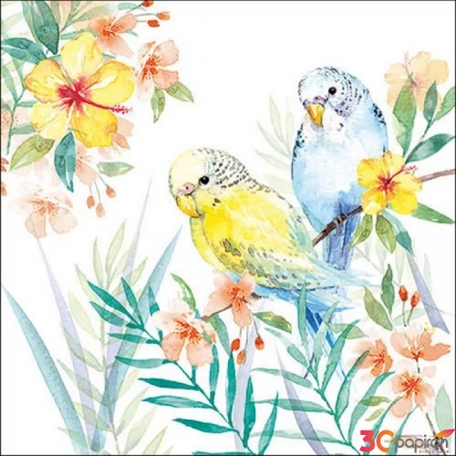 Szalvéta Ambiante Budgies Couple papír papírszalvéta 33x33cm,20db-os