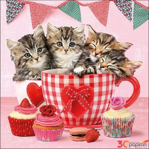 Szalvéta Ambiante Cats in Tea Cups papír papírszalvéta 33x33cm,20db-os