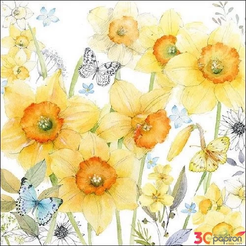 Szalvéta Ambiante Classic Daffodils papírszalvéta 33x33cm,20db-os