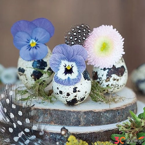 Szalvéta Ambiante Flower In Eggs papírszalvéta 33x33cm,20db-os