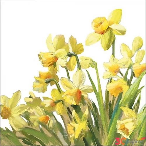 Szalvéta Ambiante Godl en Daffodils papír papírszalvéta 33x33cm,20db-os