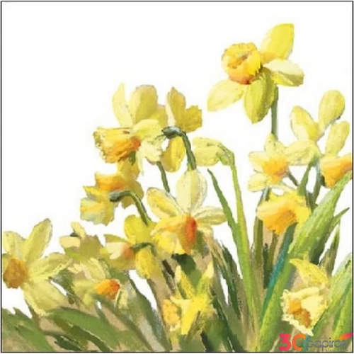 Szalvéta Ambiante Godl en Daffodils papírszalvéta 25x25cm,15db-os