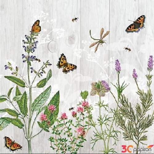 Szalvéta Ambiante herb garden papírszalvéta 25x25cm,20db-os