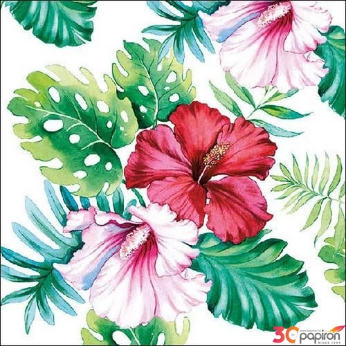 Szalvéta Ambiante Hibiscus Floral White papírszalvéta 33x33cm,20db-os