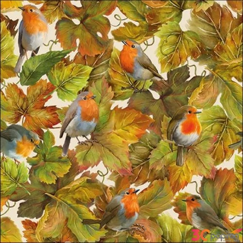 Szalvéta Ambiante Hidden Robins papír papírszalvéta 33x33cm,20db-os