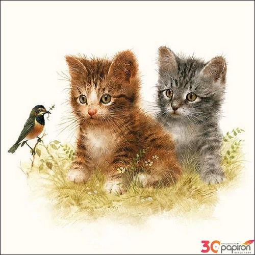 Szalvéta Ambiante Kitten Friends papírszalvéta 33x33cm,20db-os