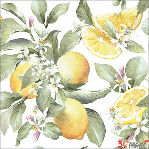 Szalvéta Ambiante citromos Limoni papírszalvéta 25x25cm,15db-os
