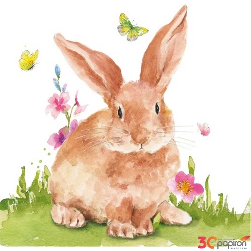 Szalvéta Ambiante Mr.Rabbit papírszalvéta 33x33cm,20db-os