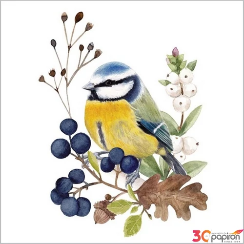 Szalvéta Ambiante Oiseau en Nature papírszalvéta 33x33cm,20db-os