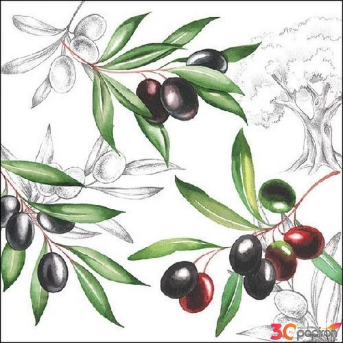 Szalvéta Ambiante Olives papírszalvéta 33x33cm,20db-os
