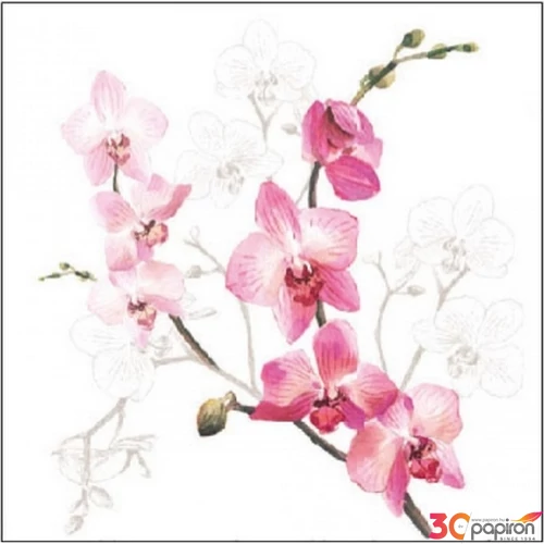 Szalvéta Ambiante Orchid papírszalvéta 25x25cm,15db-os