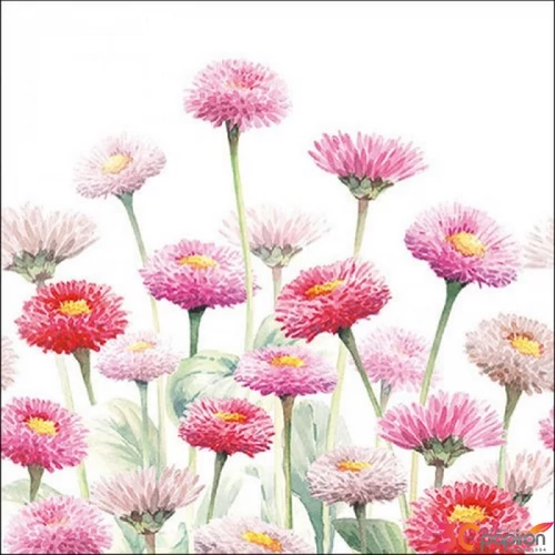 Szalvéta Ambiante Painted Bellis papírszalvéta 33x33cm,20db-os