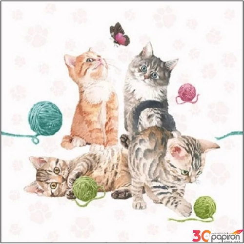 Szalvéta Ambiante Playing Kitten papírszalvéta 25x25cm,15db-os