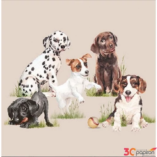 Szalvéta Ambiante Playing puppies papírszalvéta 25x25cm,20db-os