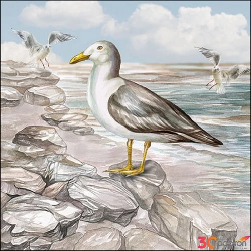 Szalvéta Ambiante Seagull On The Shore papírszalvéta 33x33cm,20db-os