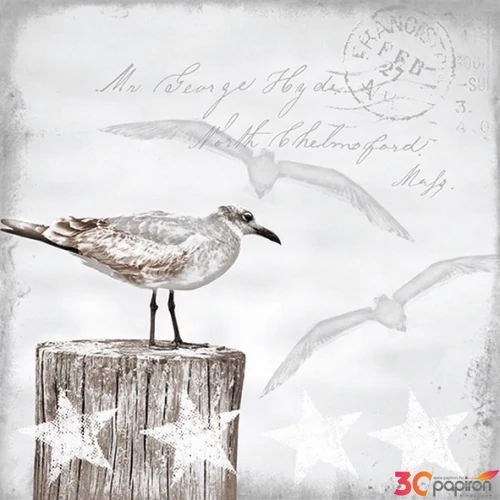 Szalvéta Ambiante Seagulls papírszalvéta 33x33cm,20db-os