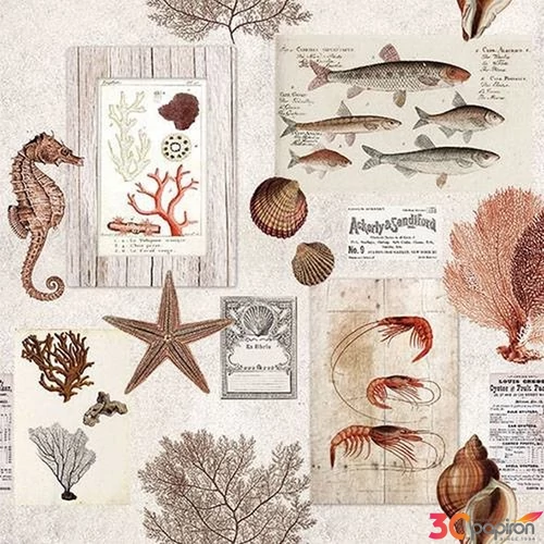 Szalvéta Ambiante Sepia Sea cream papírszalvéta 33x33cm,20db-os