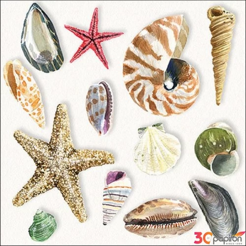 Szalvéta Ambiante Shells papírszalvéta 33x33cm,20db-os