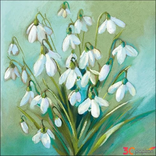 Szalvéta Ambiante Snowdrops in Winter papírszalvéta 33x33cm,20db-os