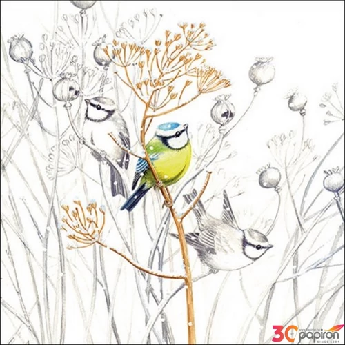 Szalvéta Ambiante Sweet Little Bird papírszalvéta 33x33cm,20db-os