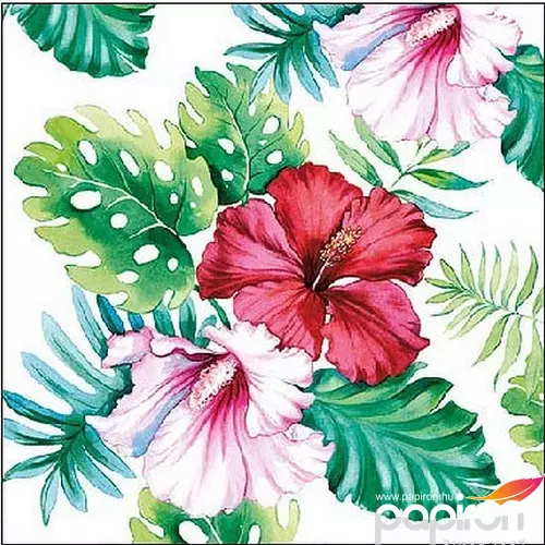 Szalvéta Ambiente 25x25cm, 3 rétegű 20 lap/csomag. Hibiscus Floral White