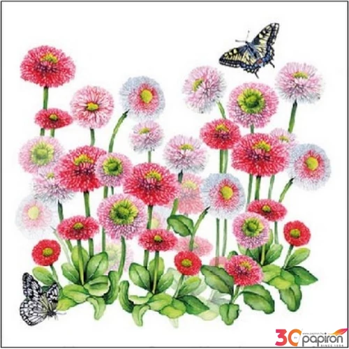 Szalvéta Ambiente 25x25cm Bellis 3rétegű 20db/csomag
