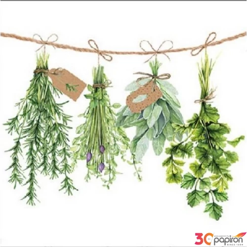 Szalvéta Ambiante Fresh Herbs, zöld fehér papírszalvéta 25x25cm,15db-os
