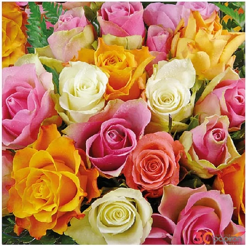 Szalvéta Ambiante Colourful Roses papírszalvéta 33x33cm,20db-os