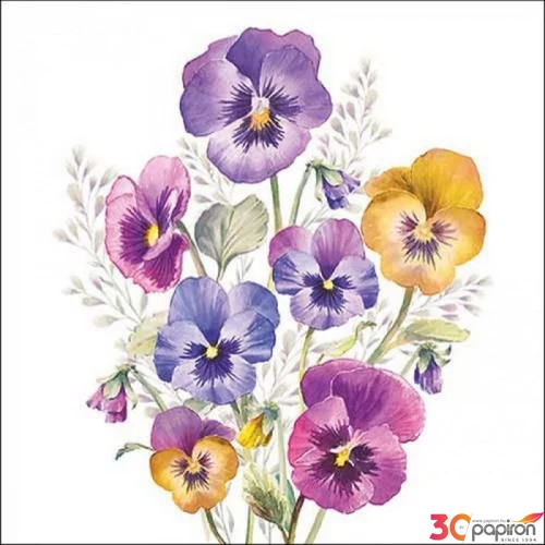 Szalvéta Ambiente árvácska pansiess 33x33 3rétegű, 20db/csomag 13318165 PANSIES