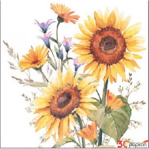 Szalvéta Ambiante virágos Sunflowers papírszalvéta 25x25cm,15db-os