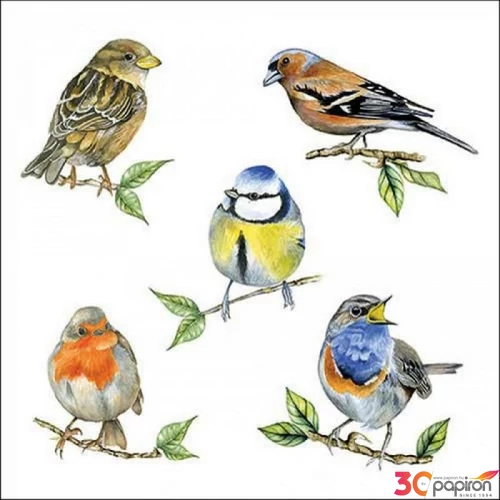 Szalvéta Ambiente bird love 33x33 3rétegű 20db/csomag 13318135