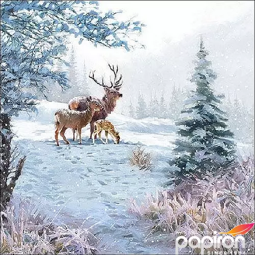 Szalvéta Ambiente Deer Family 33x33cm, 3rétegű, 20db/csomag 33310565 Karácsonyi szalvéta.