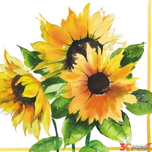 Szalvéta Ambiente Girasoli 25x25cm 3rétegű 20db/csomag 12506555 szalvéta