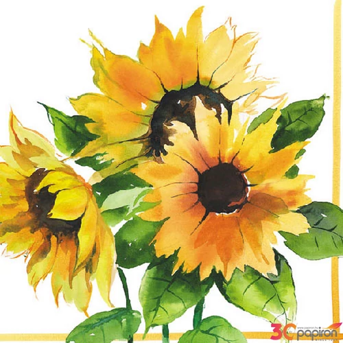 Szalvéta Ambiente Girasoli papírszalvéta dombornyomott 33x33cm, 3rétegű 20db/csomag