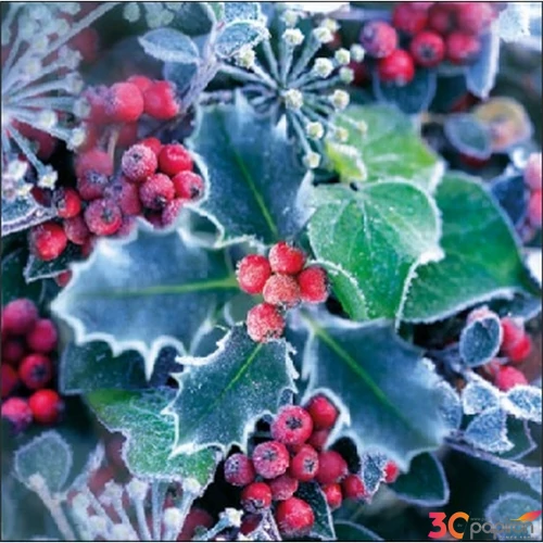 Szalvéta Ambiante Frozen Holly papír papírszalvéta 25x25cm,15db-os