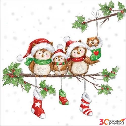 Szalvéta Ambiante Owl family papírszalvéta 33x33cm,20db-os