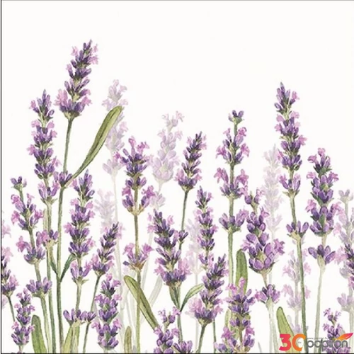 Szalvéta Ambiante Lavender Shade White papírszalvéta 33x33cm,20db-os