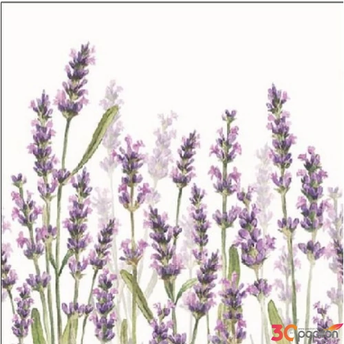 Szalvéta Ambiante Lavender Shades white papírszalvéta 25x25cm,15db-os