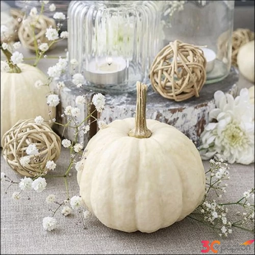 Szalvéta Ambiante Modern Pumpkin papírszalvéta 33x33cm,20db-os
