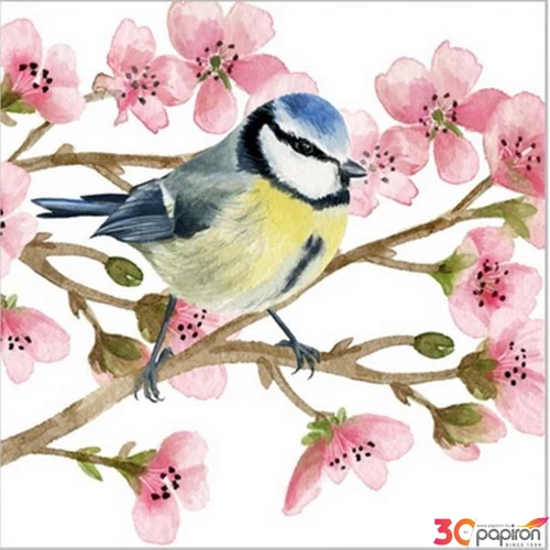 Szalvéta Ambiente Oiseau Printemps papírszalvéta 25x25cm,20db-os