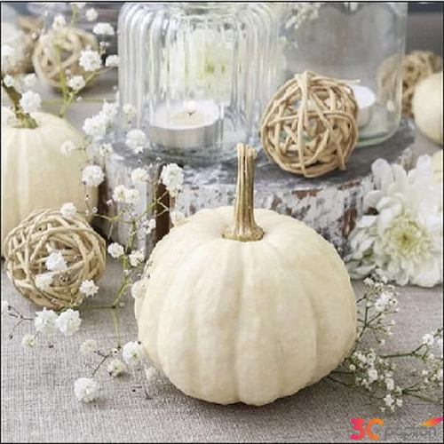 Szalvéta Ambiante Modern Pumpkin papírszalvéta 25x25cm,15db-os